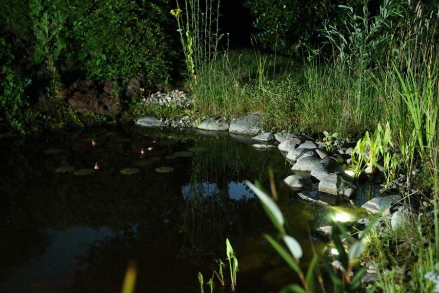 Ferienwohnung Welcome Mit Seeblick Schalkenmehren Buitenkant foto