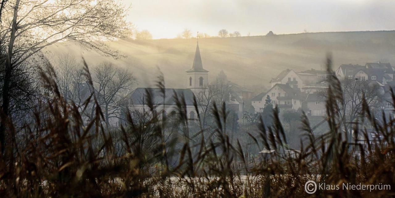 Ferienwohnung Welcome Mit Seeblick Schalkenmehren Buitenkant foto