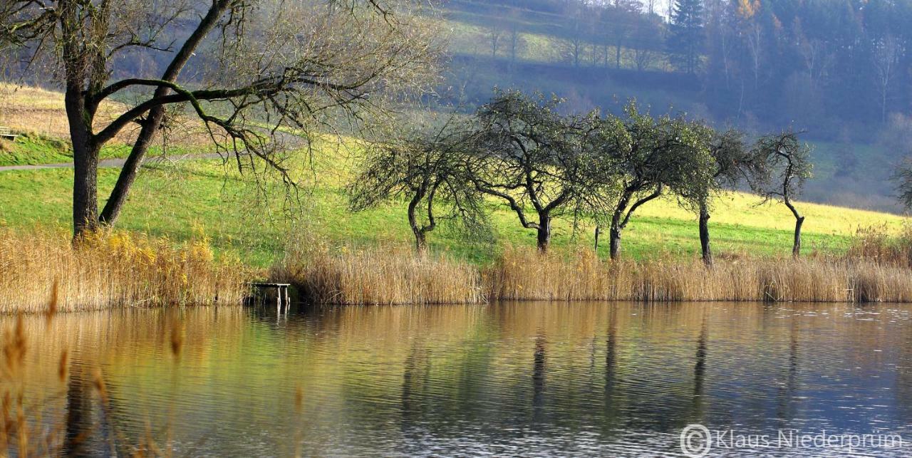 Ferienwohnung Welcome Mit Seeblick Schalkenmehren Buitenkant foto