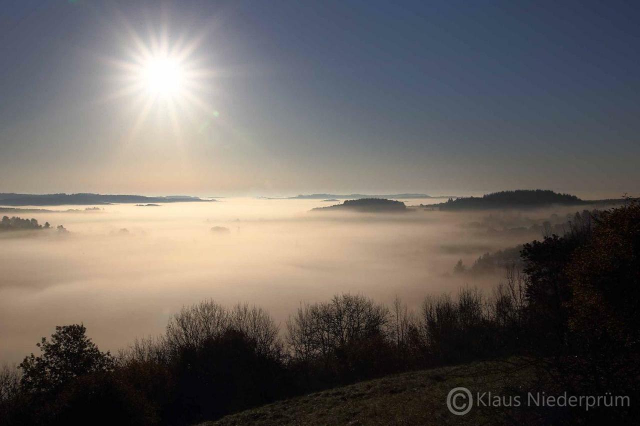 Ferienwohnung Welcome Mit Seeblick Schalkenmehren Buitenkant foto